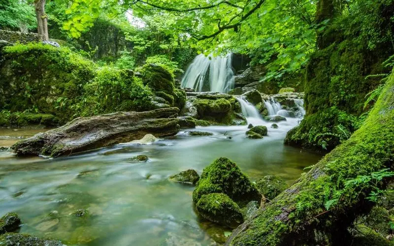 智能系统先进先进